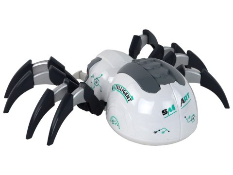 Duży Pająk Zdalnie Sterowany RC Na Baterie Biało-Szary LEAN TOYS