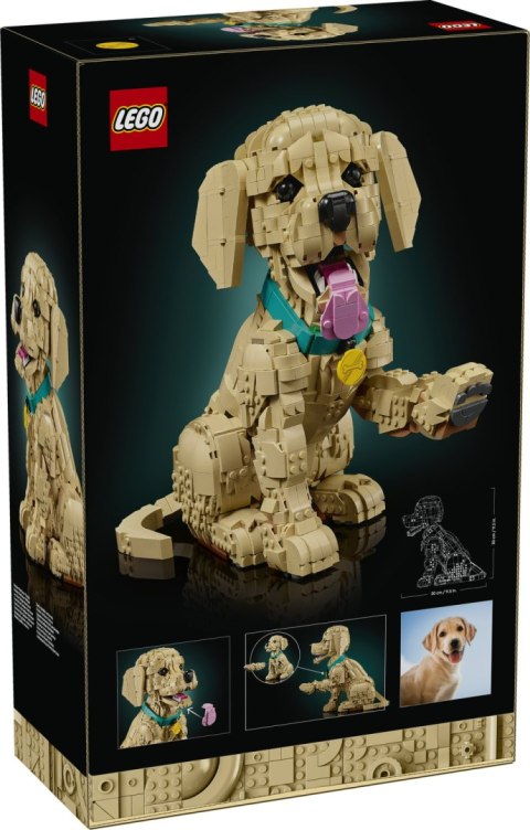 11384 | Szczeniak Golden Retriever LEGO