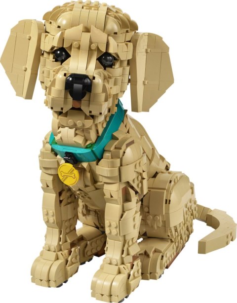 11384 | Szczeniak Golden Retriever LEGO