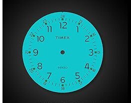 Timex ZEGAREK DAMSKI TIMEX EASY READER 25mm TW2U79100 + BOX