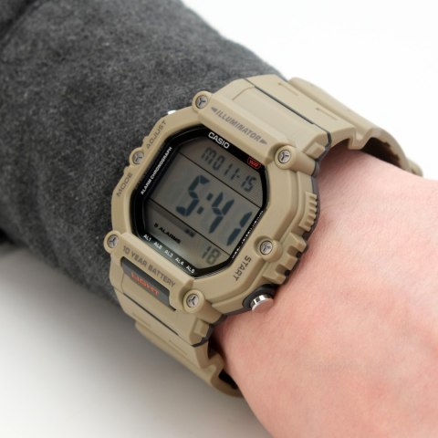 Casio ZEGAREK MĘSKI CASIO AE-1600H-5AVDF + BOX (zd300b)