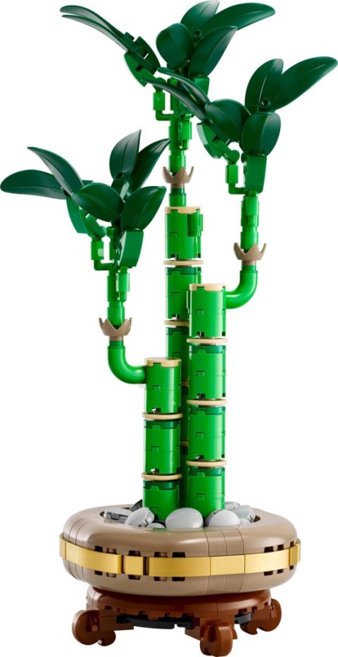 10344 | Dracena Sandera LEGO