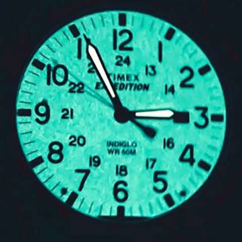 Timex ZEGAREK MĘSKI TIMEX EXPEDITION TW4B12500 (zt106g)