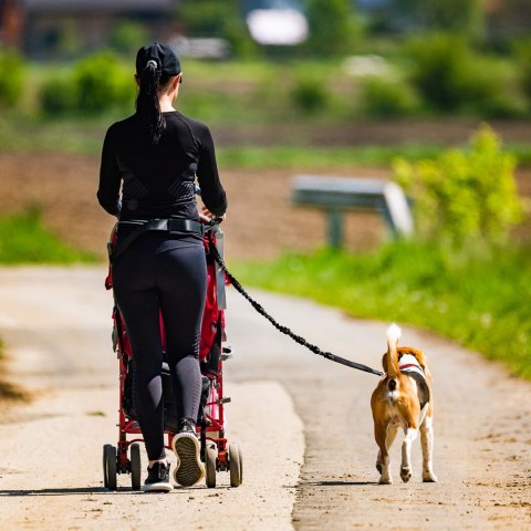 Pas biodrowy do biegania z psem z saszetką elastyczną smyczą - czarny