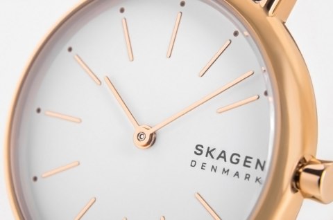 Skagen Zegarek Damski SKAGEN Signatur SKW2838 + BOX