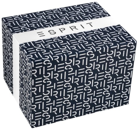 Esprit Zegarek Męski ESPRIT Hudson ES1G373L0025 + BOX