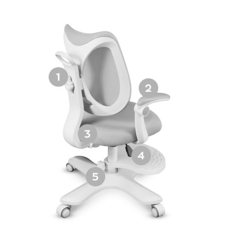Fotel obrotowy dla dziecka Junior 4.6 Grey