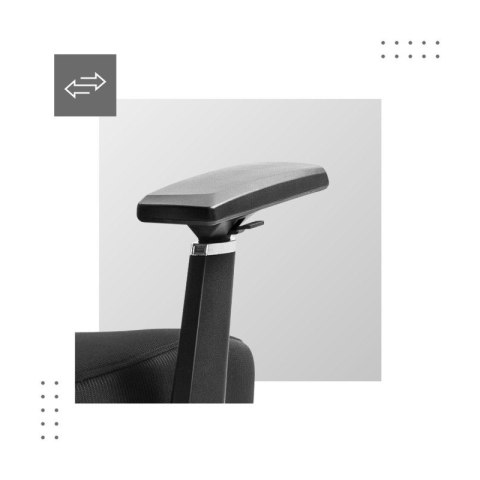 Fotel ergonomiczny Expert 4.6 Black