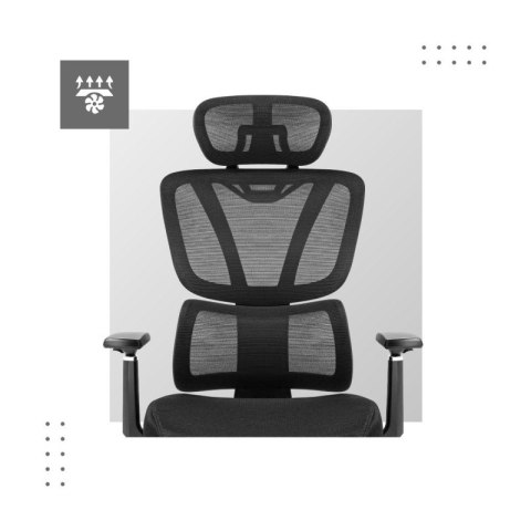 Fotel ergonomiczny Expert 4.6 Black