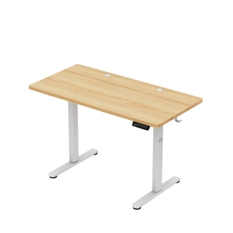 Biurko elektryczne Leader 6.9 Craft 120 cm